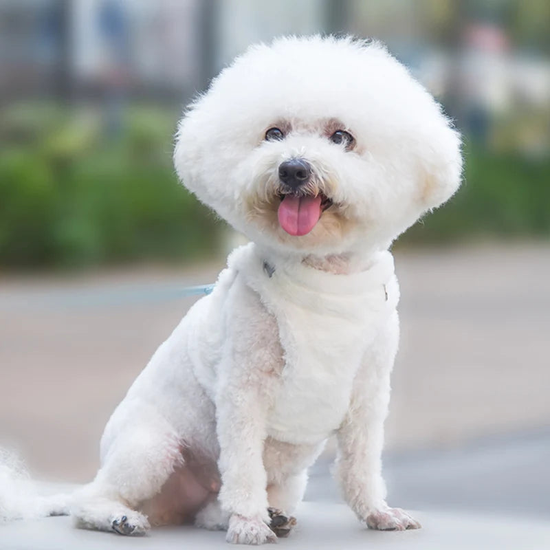 Conjunto de arnés y correa para perro cachorro de piel gruesa para perros pequeños, arneses de Gato cálidos para invierno, cadena de plomo Bichon, accesorios para mascotas