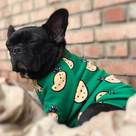 Ropa cálida de invierno para mascotas, sudadera para perros pequeños, Bulldog Francés, Yorkshire, suéter acogedor para cachorros, Sudadera con capucha, ropa para mascotas