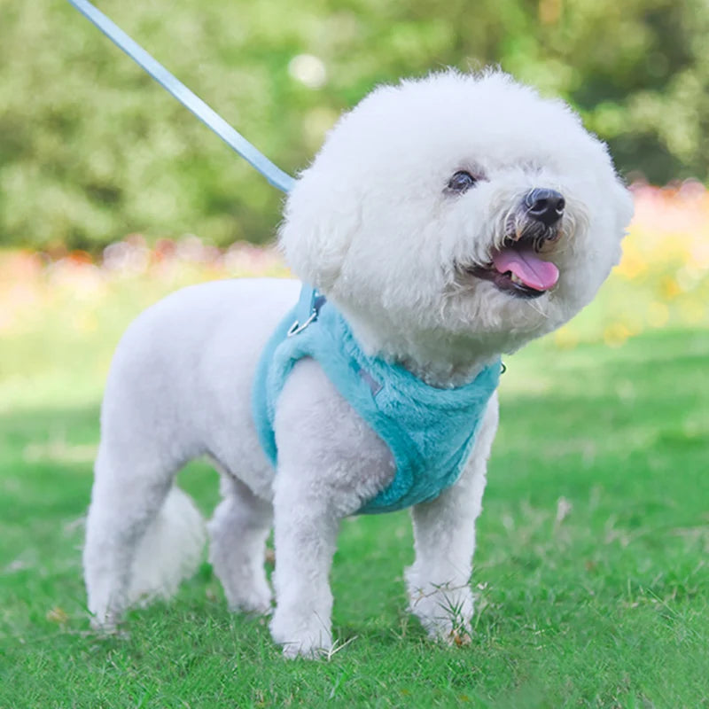 Conjunto de arnés y correa para perro cachorro de piel gruesa para perros pequeños, arneses de Gato cálidos para invierno, cadena de plomo Bichon, accesorios para mascotas