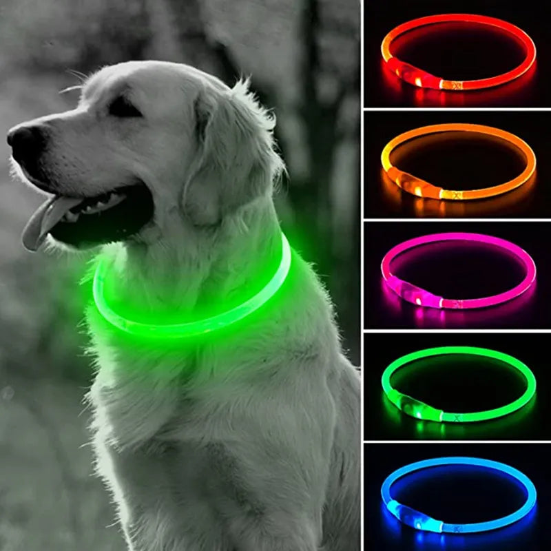 Collar Led para perro, Collar luminoso con Usb para perro y gato, luz Led de 3 modos, Collar LED brillante para prevención de pérdidas, accesorios para perros y mascotas