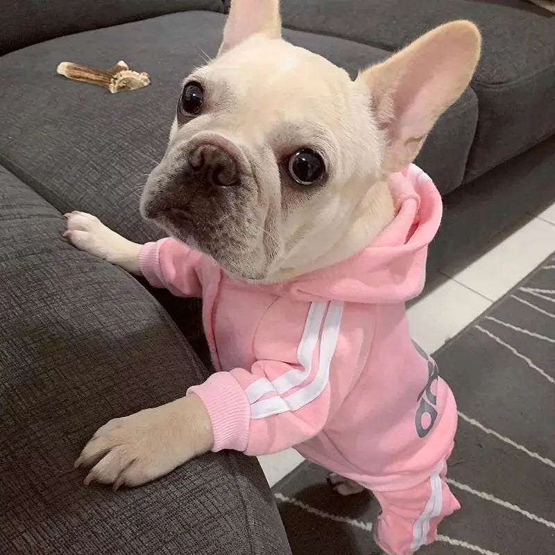 Ropa para mascotas, disfraz de Bulldog Francés para cachorros, mono para mascotas, Chihuahua, Pug, ropa para perros pequeños y medianos, sudaderas con capucha para cachorros