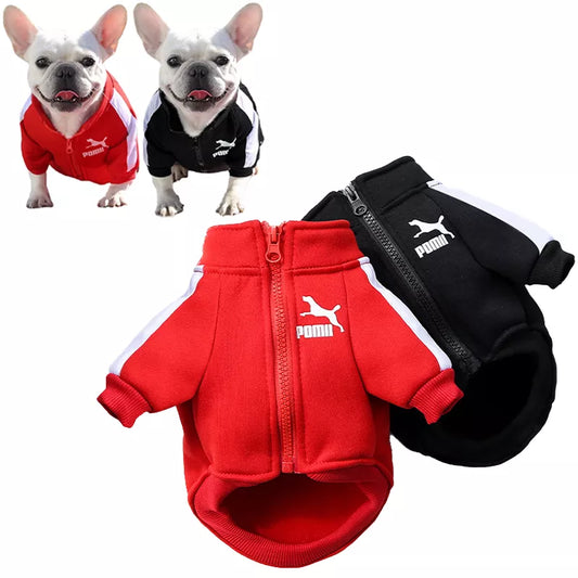 Chaqueta de béisbol para perros, ropa de invierno para perros pequeños y medianos, chaleco para mascotas, sudadera de Bulldog Francés, disfraz de Chihuahua, abrigo para Pug