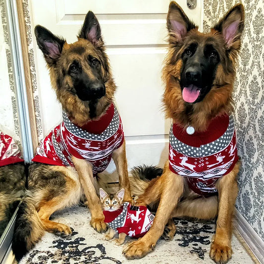 Suéter de punto británico para perros medianos y grandes, ropa para perros grandes de alce de Navidad, jerséis de Labrador Pitbull, ropa para mascotas