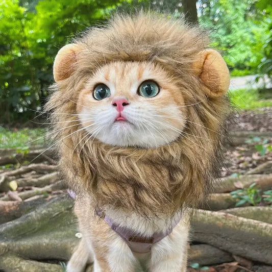 Bonito sombrero de Peluca de gato de melena de León, ropa divertida para mascotas, gorro de fiesta elegante para perros, disfraz de Cosplay, sombrero para cachorro con orejas, accesorios